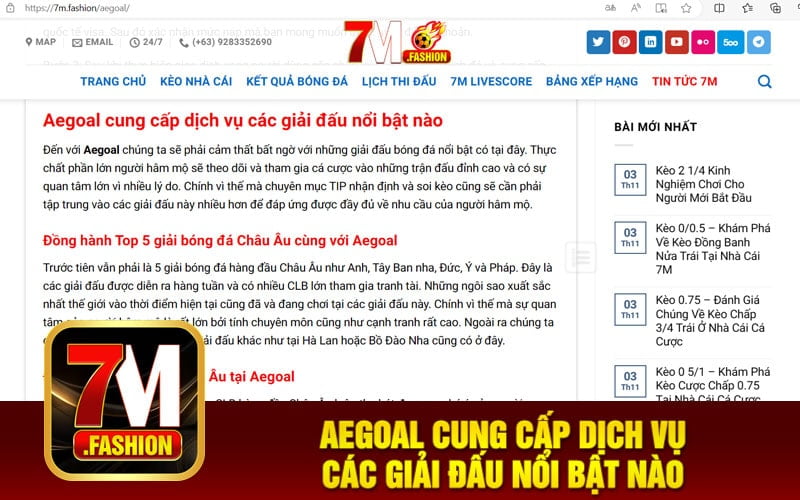 Aegoal cung cấp dịch vụ các giải đấu nổi bật nào
