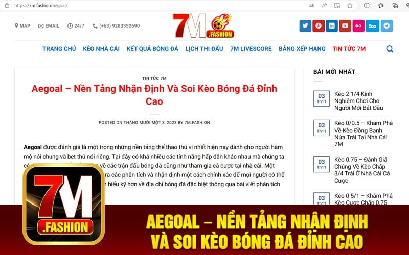 Aegoal – Nền Tảng Nhận Định Và Soi Kèo Bóng Đá Đỉnh Cao