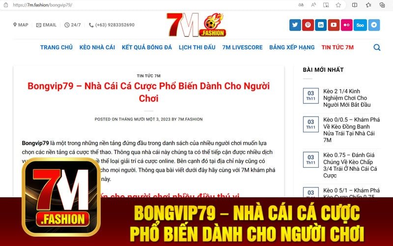 Bongvip79 – Nhà Cái Cá Cược Phổ Biến Dành Cho Người Chơi