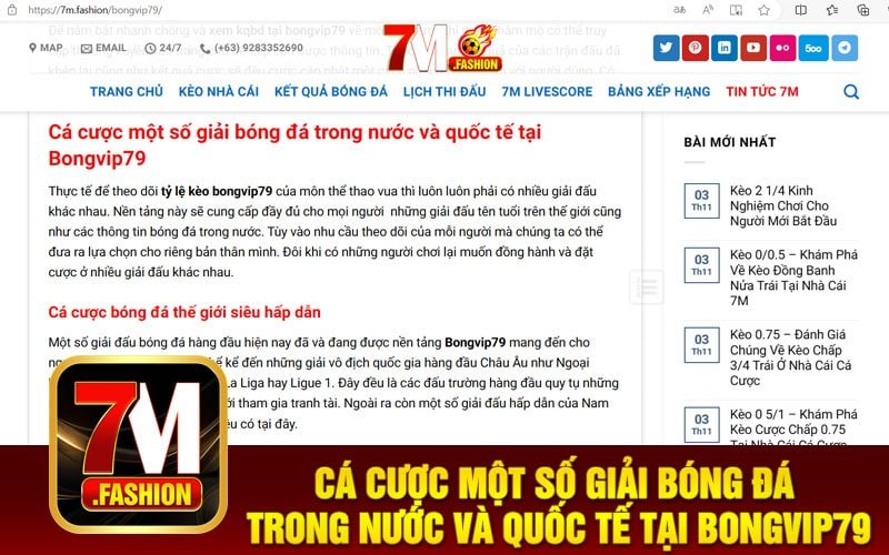 Cá cược một số giải bóng đá trong nước và quốc tế tại Bongvip79
