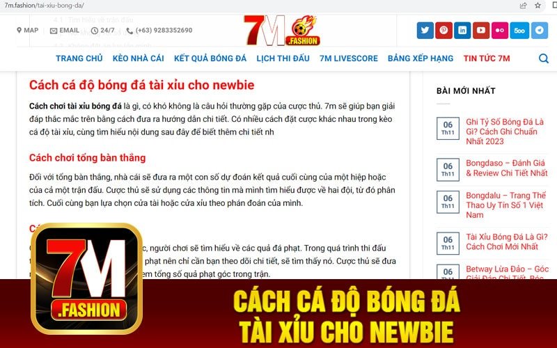 Cách cá độ bóng đá tài xỉu cho newbie
