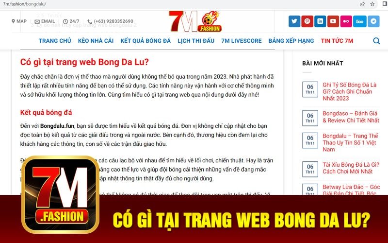 Có gì tại trang web Bong Da Lu?