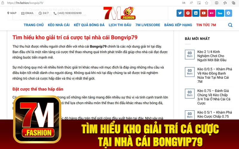 Tìm hiểu kho giải trí cá cược tại nhà cái Bongvip79
